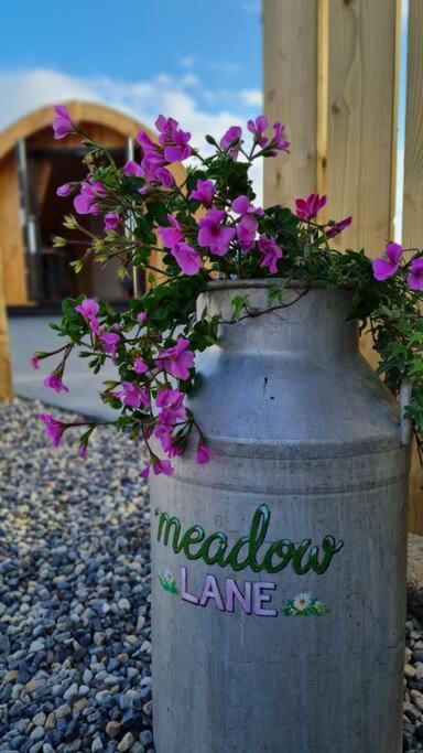 斯莱戈Meadow Lane公寓 外观 照片
